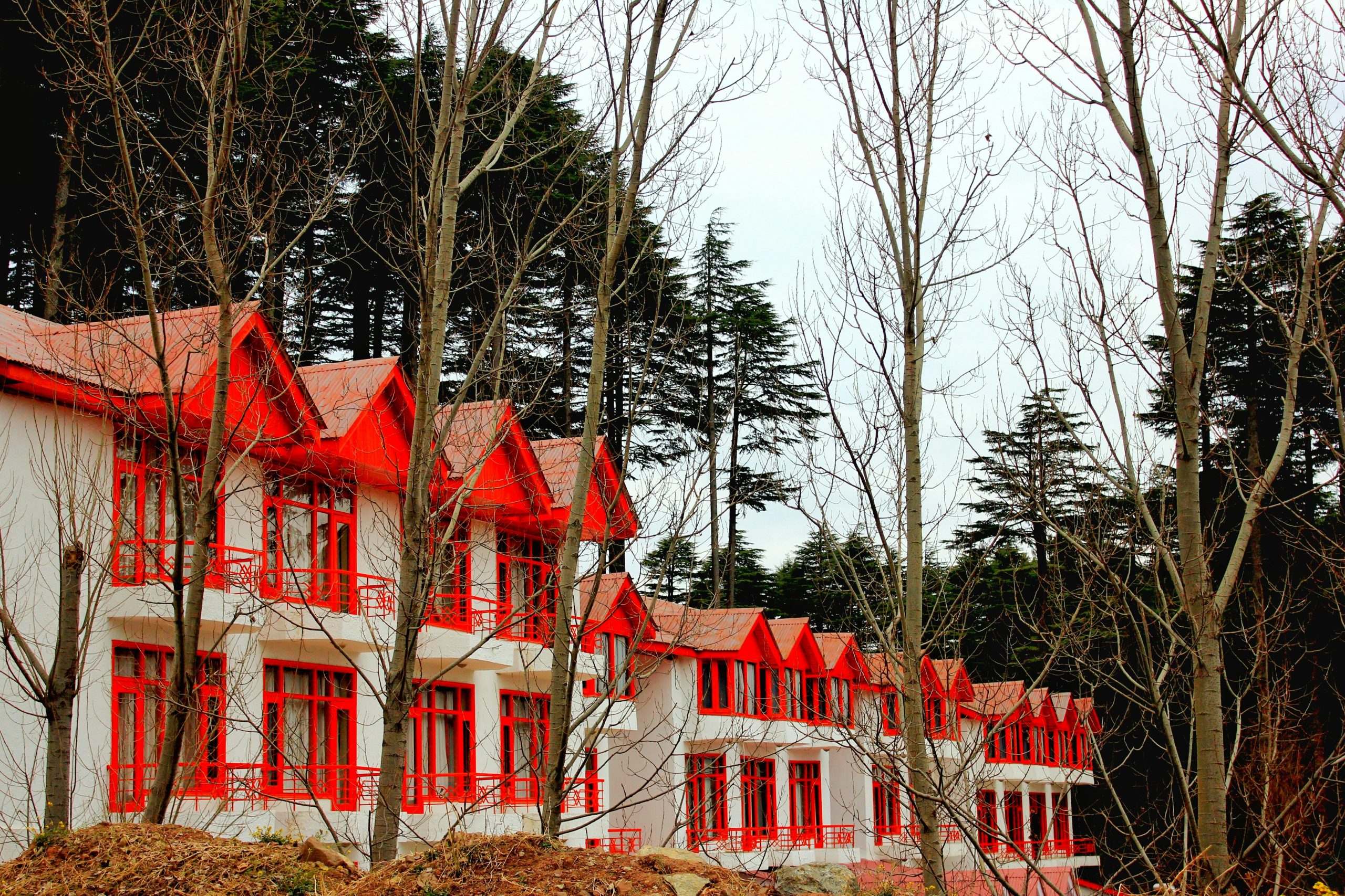 Twelve identical red houses in a row, symbolising the structured framework of astrological houses as distinct life domains in birth chart interpretation and celestial architecture.